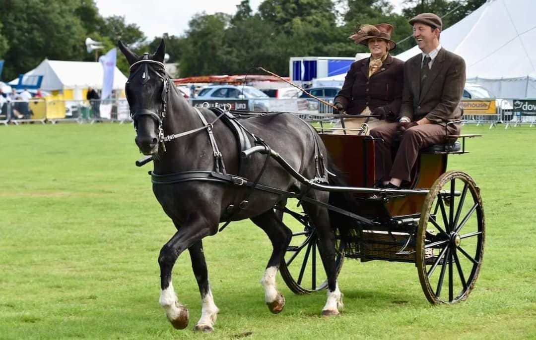 Carriage Driving at Country Show
